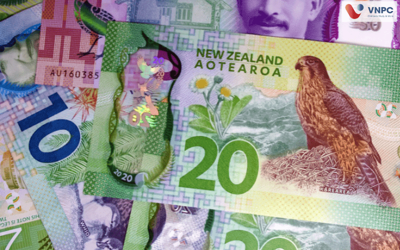 KING88 là nhà cái giải trí đỉnh cao THPT New Zealand